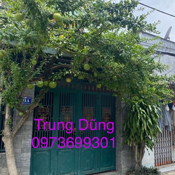 Nhà trọ 10 phòng Linh Xuân Thủ Đức 200m² giá 17 tỷ - Đầu tư sinh lời ngay!