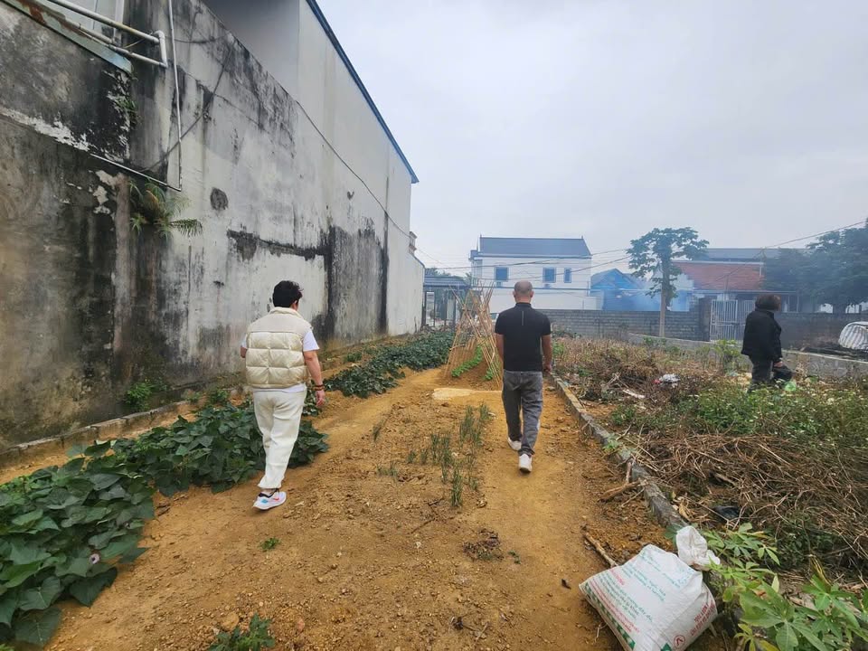 Đất giãn dân 116m² tại Đông Yên, Quốc Oai - Sổ đỏ chính chủ, giá chỉ 400 triệu!