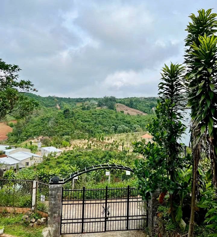 Nhà nghỉ dưỡng Bảo Lộc 750m² giá 3.3 tỷ - View đồi thông tuyệt đẹp!