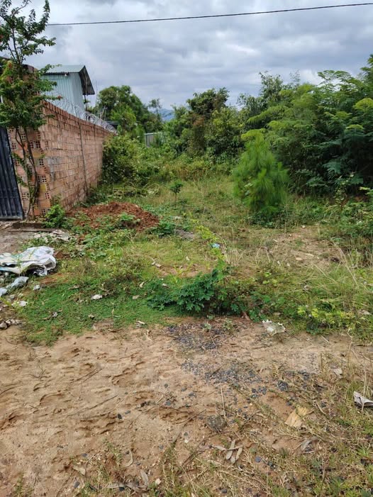 Đất thổ cư xã Đăk Rơ Wa, Kon Tum 240m² giá 300 triệu - Cơ hội đầu tư tuyệt vời!