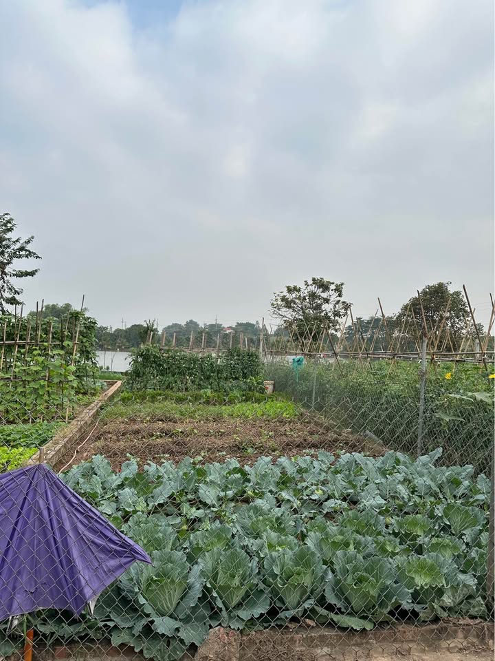 Nhà bán Phúc Thọ 56m² giá thỏa thuận - Ô tô vào tận nơi, view hồ đẹp!