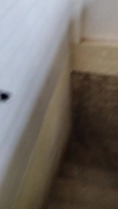 Nhà mặt tiền đường Nguyễn Trãi, Đắk Mil 256m² giá 3.3 tỷ - Khách mua vào ở ngay!