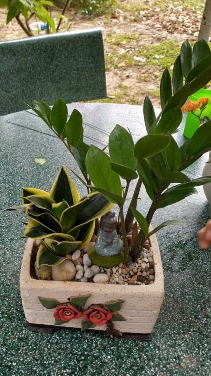 Đất nền Điện Nam Bắc 240m² giá 2.3 tỷ - Đầu tư sinh lời ngay!