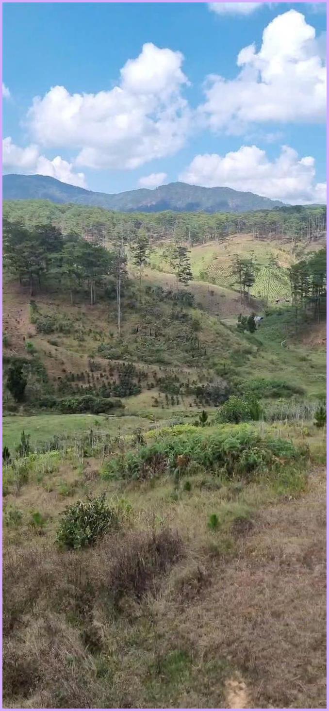 Đất Lạc Dương 28 sào giá 9 tỷ - Đầu tư sinh lời dài hạn!