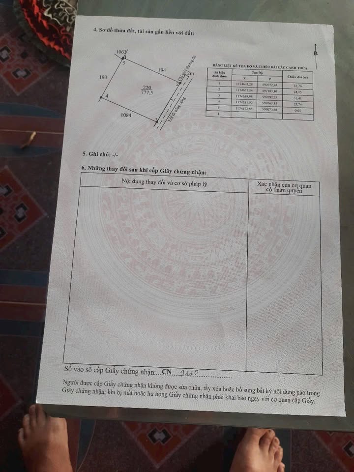 Đất nền 768m² tại Mỹ Lộc, Cần Giuộc giá 2.5 tỷ - Đầu tư sinh lời ngay!