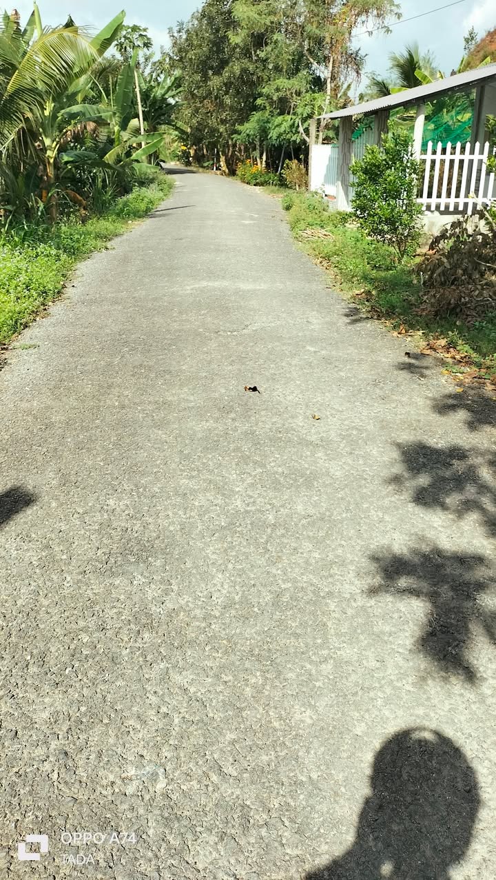 Đất nền Hòa Tịnh, Mang Thít 111,1m² chỉ 275 triệu - Cơ hội đầu tư hấp dẫn!