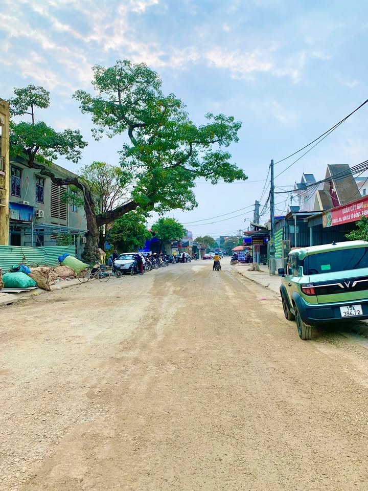 Lô đất kinh doanh Thái Sơn, An Lão 155.7m² - Sổ hồng chính chủ, giá thỏa thuận!