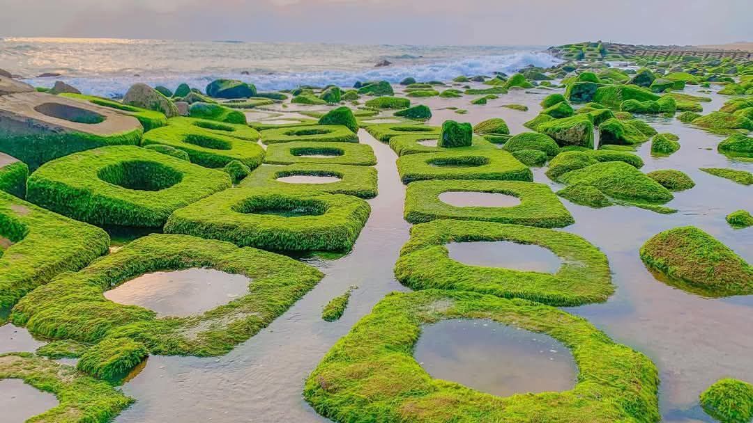 Đất nền Phú Đông - Tuy Hòa 112m² giá 1.1 tỷ - Sổ đỏ chính chủ, vị trí đắc địa!