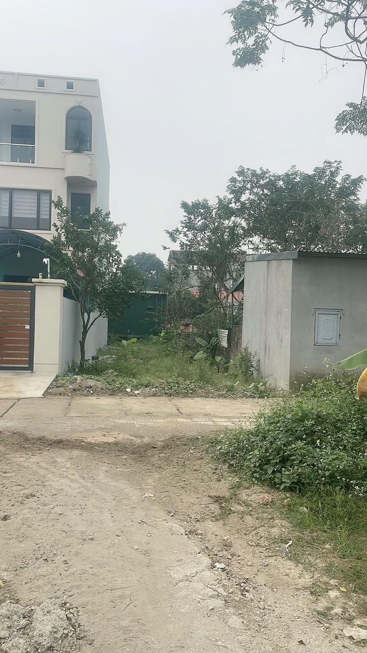 Đất nền Vĩnh Tường, Anh Sơn 114m² giá 2.8 tỷ - Đầu tư sinh lời ngay!