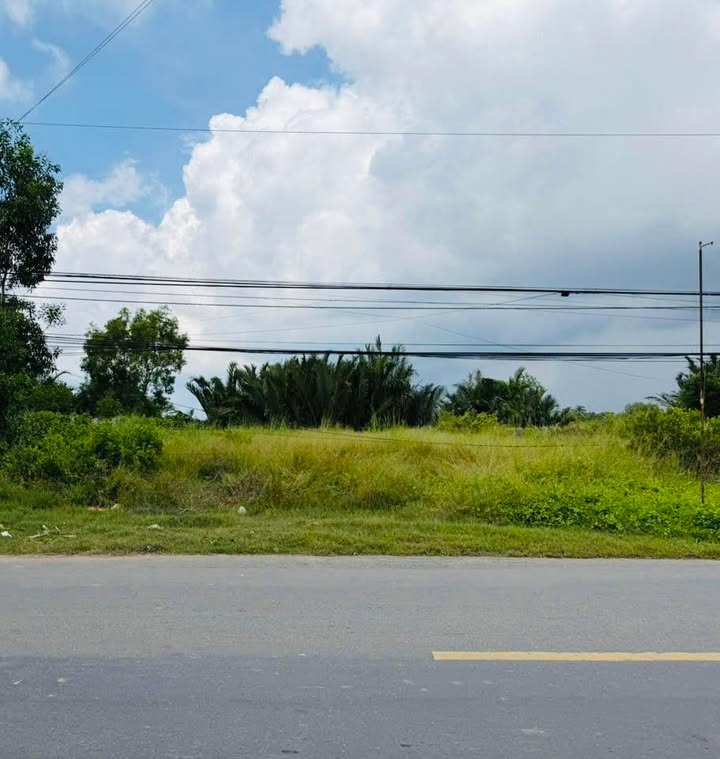 Đất nền Thạnh Phước, Bình Đại 272m² giá 1.8 tỷ - Mặt tiền kinh doanh sầm uất!