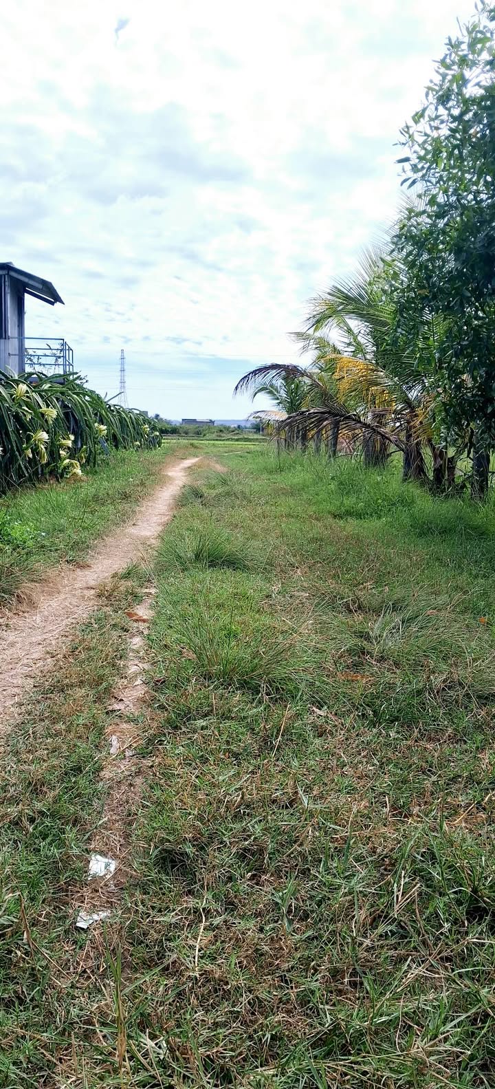 Đất nền thôn Bình An, Hàm Chính 720m² giá 580 triệu - Đường ô tô vào tận nơi!