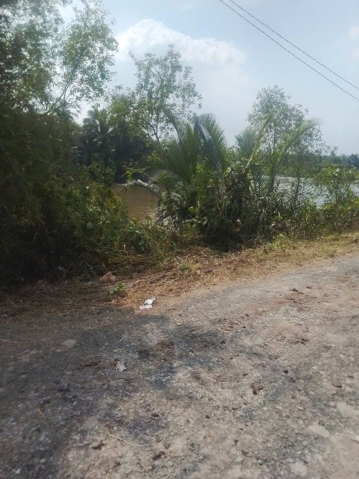 Bán đất mặt tiền xã Hiếu Phụng, Vĩnh Long 548m² - Đất sạch sẽ, cao ráo, giá chỉ 1.05 tỷ!