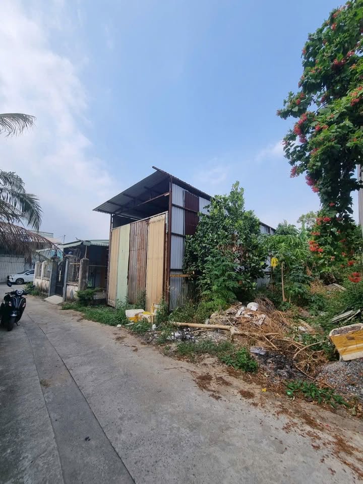 Đất nền Trảng Dài Biên Hòa 100m² giá chỉ 790 triệu - Đường thông, dân cư đông đúc!