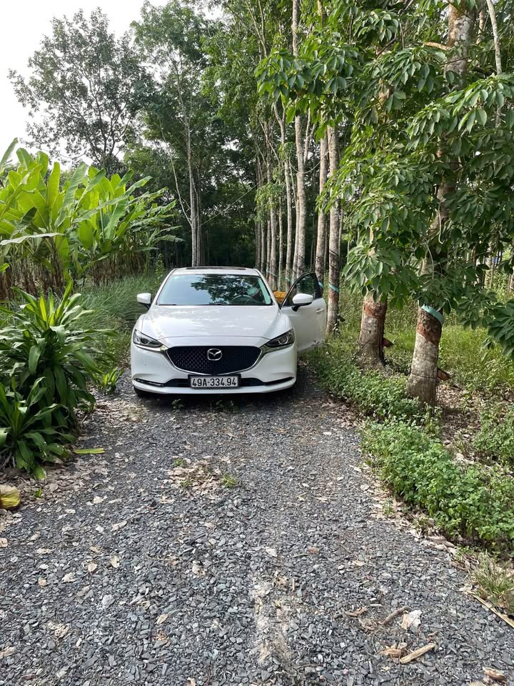 Đất nền 12120m² tại ấp Bầu Son, xã Bình An, Long Thành, Đồng Nai - Cơ hội đầu tư tốt!