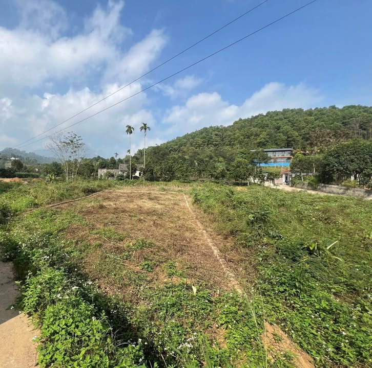 Đất nền Yên Bài, Ba Vì 350m² giá 3.15 tỷ - Cơ hội đầu tư hấp dẫn!