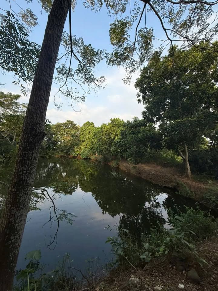 Đất nền Yên Bài Ba Vì 3520m² - Cơ hội đầu tư tuyệt vời!