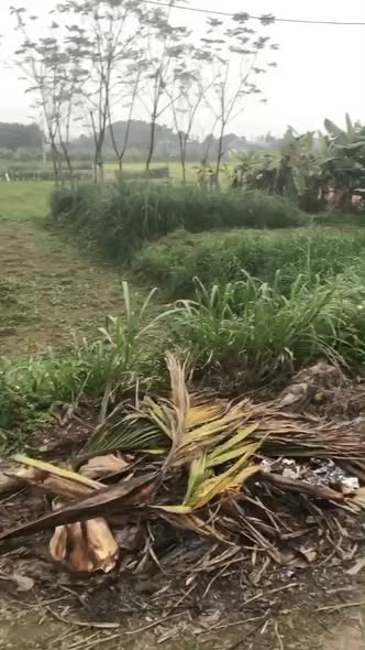 Đất thổ cư 195m² tại Vĩnh Chân, Hạ Hòa chỉ 900 triệu - Nở hậu, 2 mặt tiền!