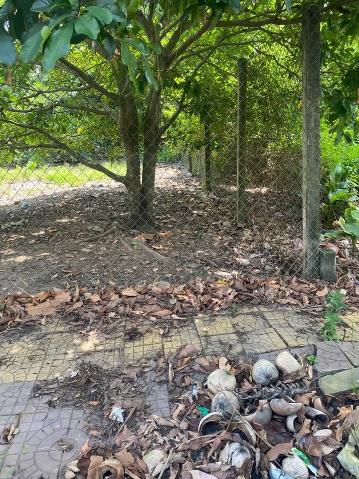 Đất nền KDC Lợi Bình Nhơn, Tân An 160m² giá 2.2 tỷ - Cơ hội đầu tư lý tưởng!