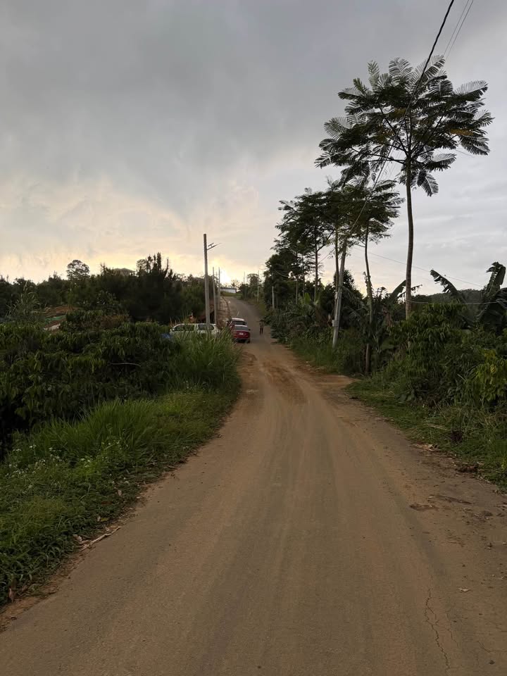 Đất nền xã Tân Lạc 2500m² giá 1.55 tỷ - Pháp lý rõ ràng tiện tách lô!