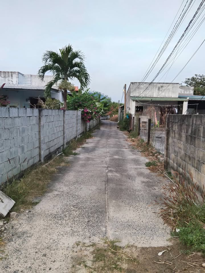 Đất nền Trưng Trắc, La Gi, Bình Thuận 329m² - Sổ hồng riêng, giá tốt!