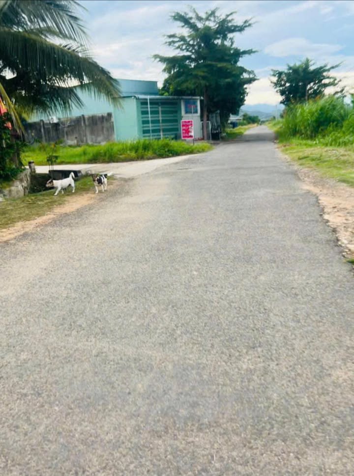 Đất thổ cư 2400m² tại xã Hàm Chính, giá chỉ 1.6 tỷ - Cơ hội đầu tư hấp dẫn!