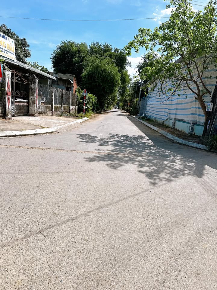 Lô đất thổ cư Tân Sơn Ninh Sơn 156m² giá 810 triệu - Cơ hội đầu tư tuyệt vời!