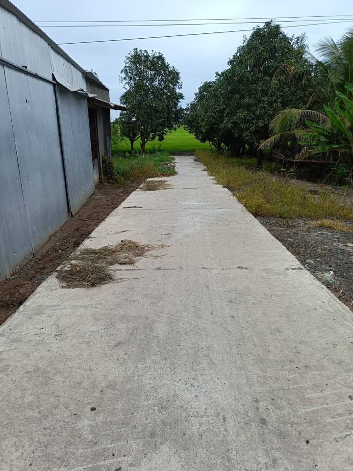 Đất mặt tiền đường Đá Nhĩn 6000m² giá 200 triệu - Cơ hội đầu tư hấp dẫn!