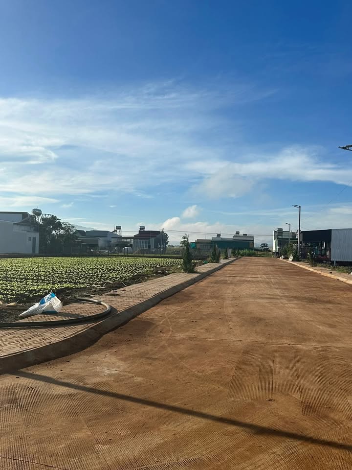 Lô đất Suối Thông Đơn Dương 156m² giá 800 triệu - Đầu tư ngay hôm nay!