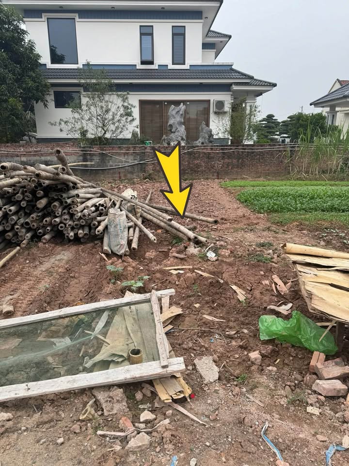 Đất nền chính chủ TDP Quan Nha, Hòa Mạc, Duy Tiên 75m² - Giá chỉ 1 tỷ!