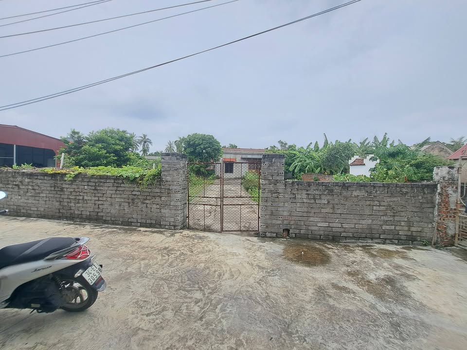 Đất nền Hà Kỳ Tứ Kỳ 621m² giá 2.174 tỷ - Cơ hội đầu tư hấp dẫn!