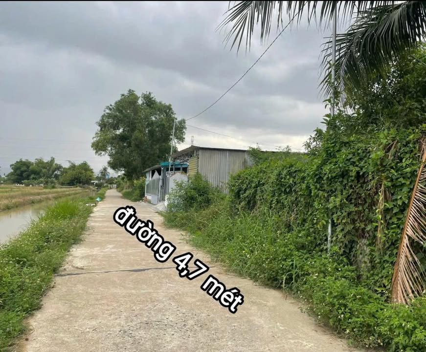 Đất thổ cư Diên Toàn, Diên Khánh 209m² giá 2.1 tỷ - Vị trí thuận lợi gần chợ