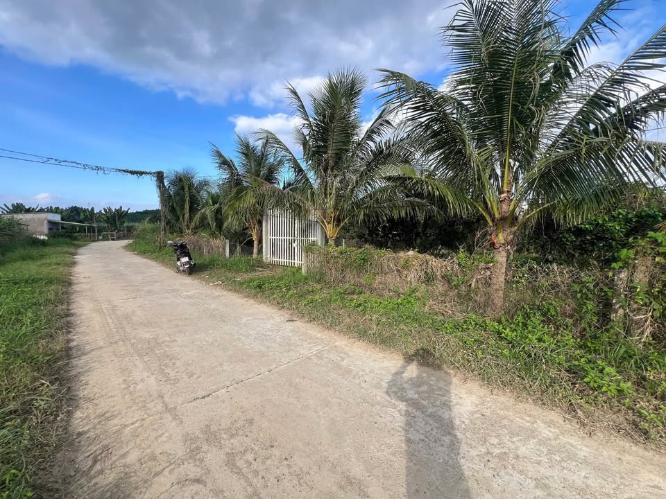 Lô vườn Diên Đồng 830m² giá 1.35 tỷ - Đầu tư lý tưởng cho nông trại!