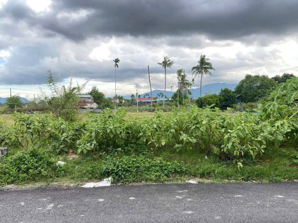 Đất thổ cư Diên Hoà, Diên Khánh 103.3m² giá 980 triệu - Sổ hồng chính chủ!