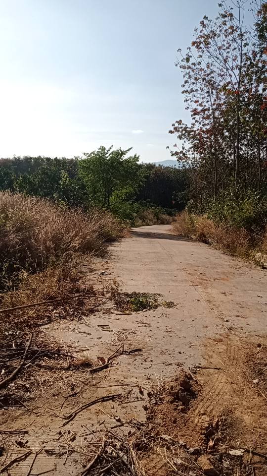 Đất rẫy 5 xào tại Nghĩa Hòa, Chư Păh giá 1 tỷ - Bám 2 mặt đường thuận lợi!