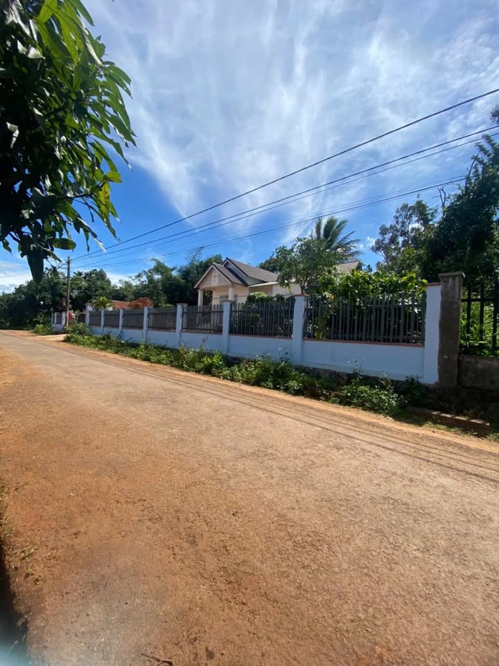 Đất nền Tân Lập, Buôn Ma Thuột 1000m² giá 5 tỷ - Mặt tiền đường nhựa 12m