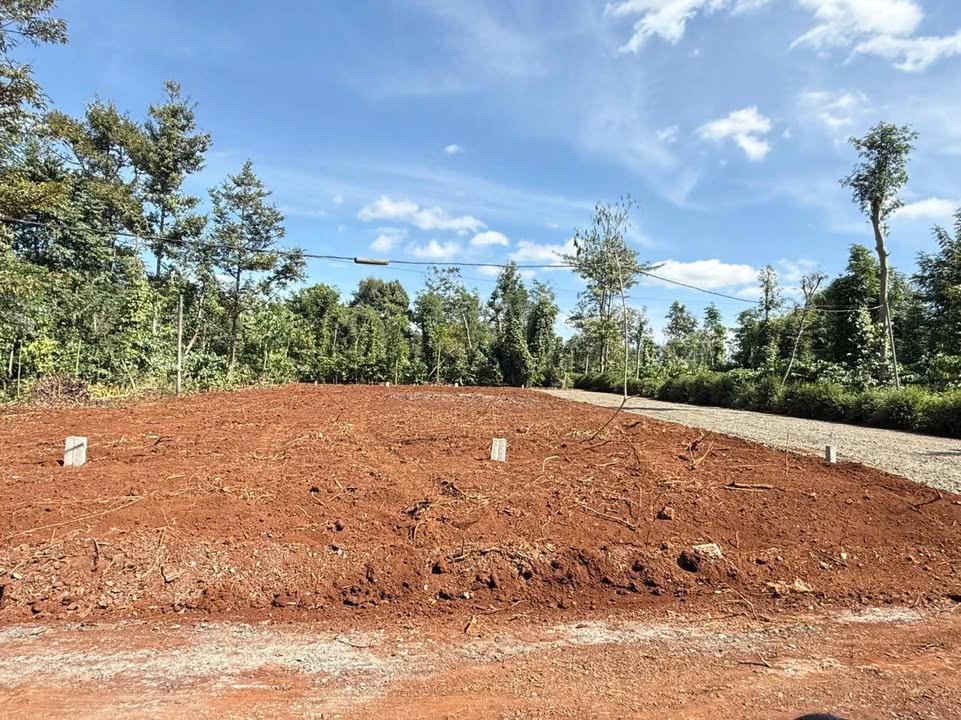 Đất nền xã Quảng Phú, Cư M'gar 570m² giá chỉ 1.35 tỷ - Pháp lý rõ ràng, tiềm năng đầu tư!