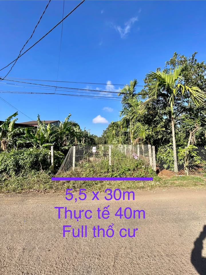 Đất nền trục chính đường A, phường Tân An 165m² giá 2.5 tỷ - Cơ hội đầu tư tiềm năng!