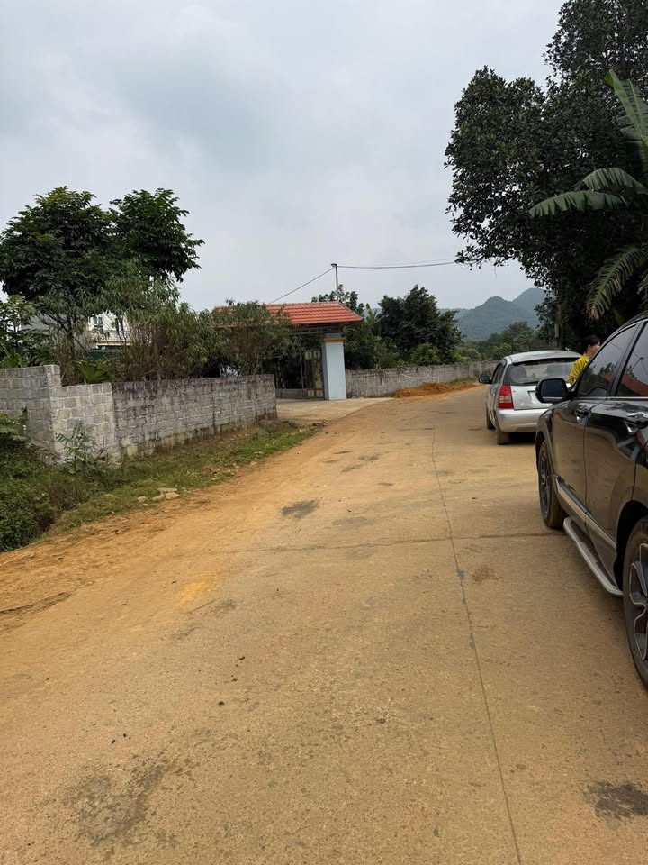 Đất vườn Tây Hoa Lư 1200m² giá 3 tỷ - Sổ đỏ chính chủ, gần Bái Đính!