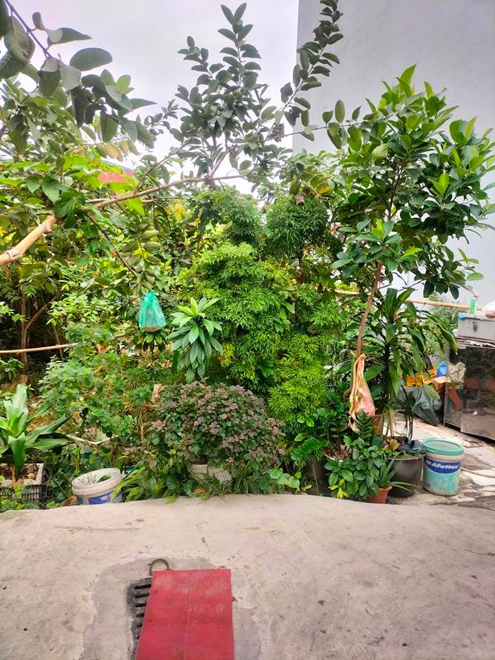 Đất nền 40m² đường An Trì, Hùng Vương, Hải Phòng - Giá chỉ 1.3 tỷ, ô tô đỗ gần nhà!