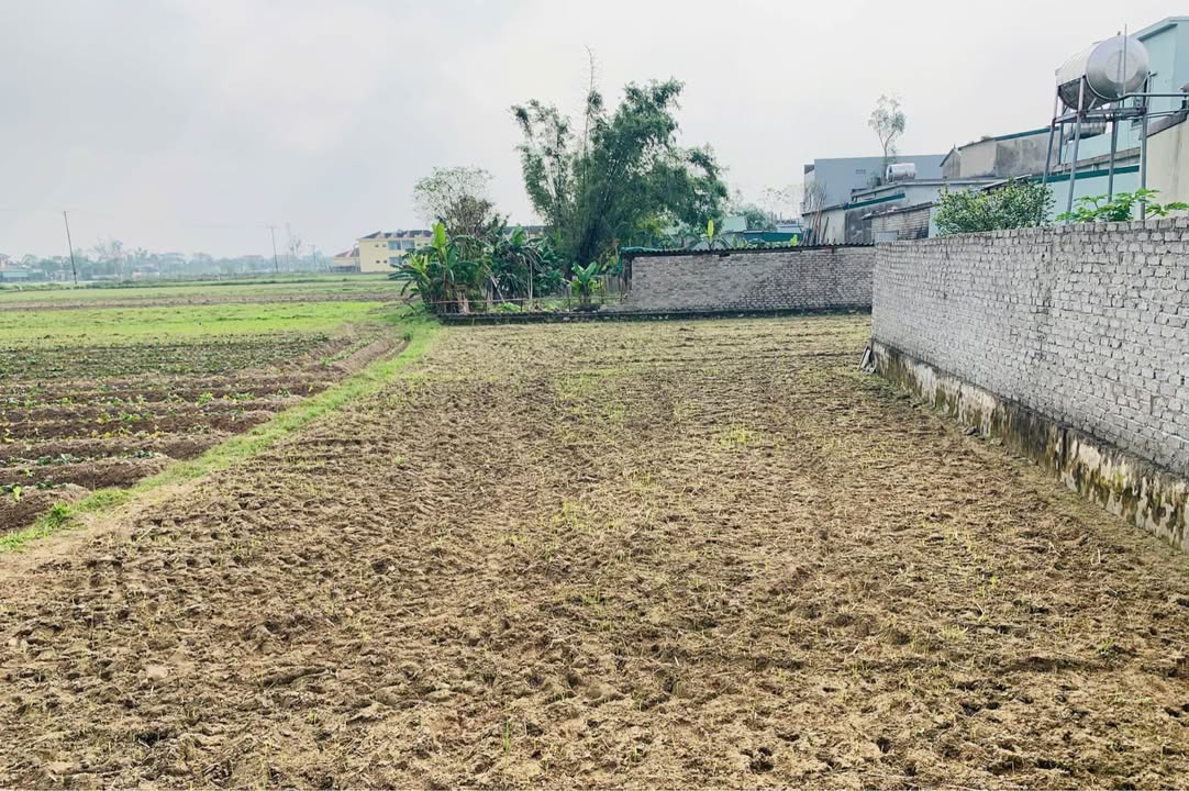 Đất nền Xóm 3, Phúc Thọ, TP Vinh 71m² giá 1.2 tỷ - Vị trí thuận lợi, đầu tư sinh lời!