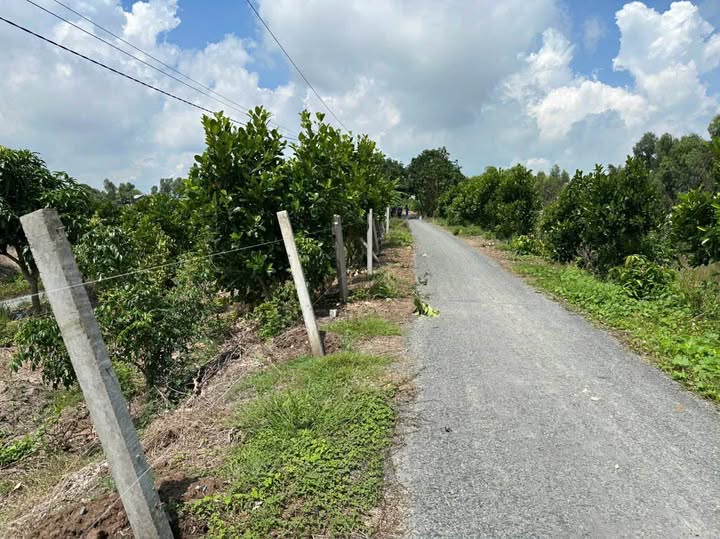 Đất trồng mít Gáo Giồng 2859m² giá 1.25 tỷ - Đầu tư lý tưởng cho nghỉ dưỡng!