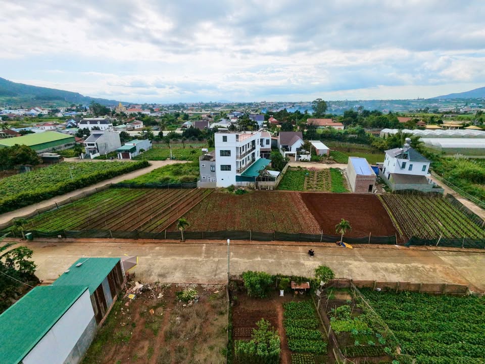 Đất thổ cư Hiệp Thạnh, Đức Trọng 113m² giá 1.35 tỷ - Đầu tư sinh lời ổn định!