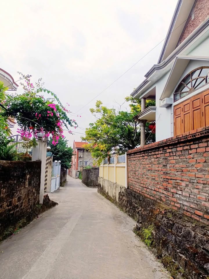 Đất Cẩm Thịnh 195m² giá 1 tỷ - Bán gấp đất tặng nhà kiên cố!