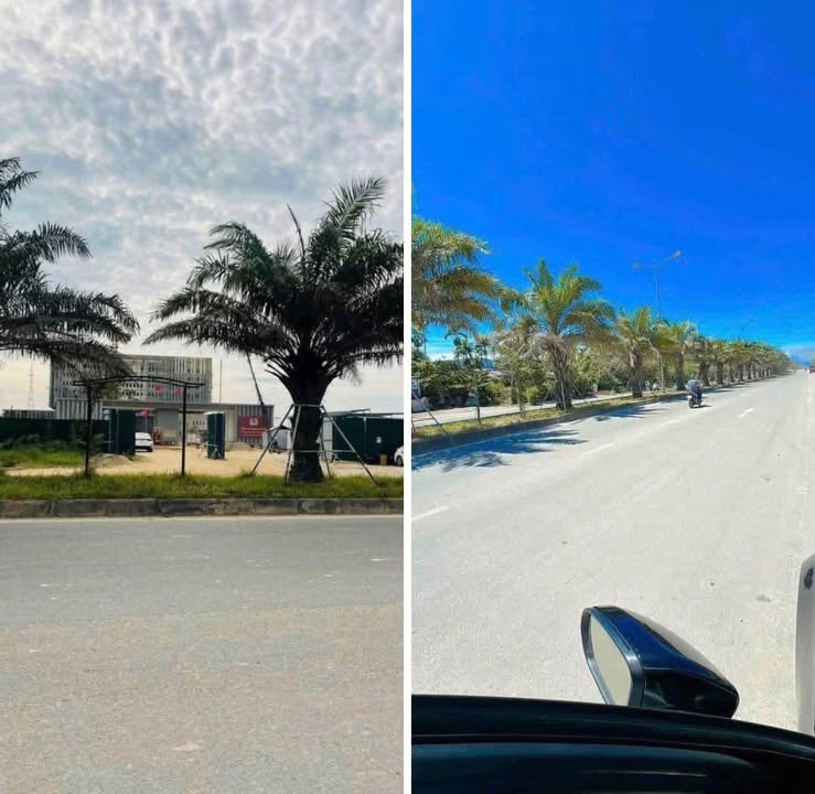 Đất nền mặt tiền đường Võ Chí Công, TP Huế 123m² giá 5.5 tỷ - Cơ hội đầu tư tuyệt vời!