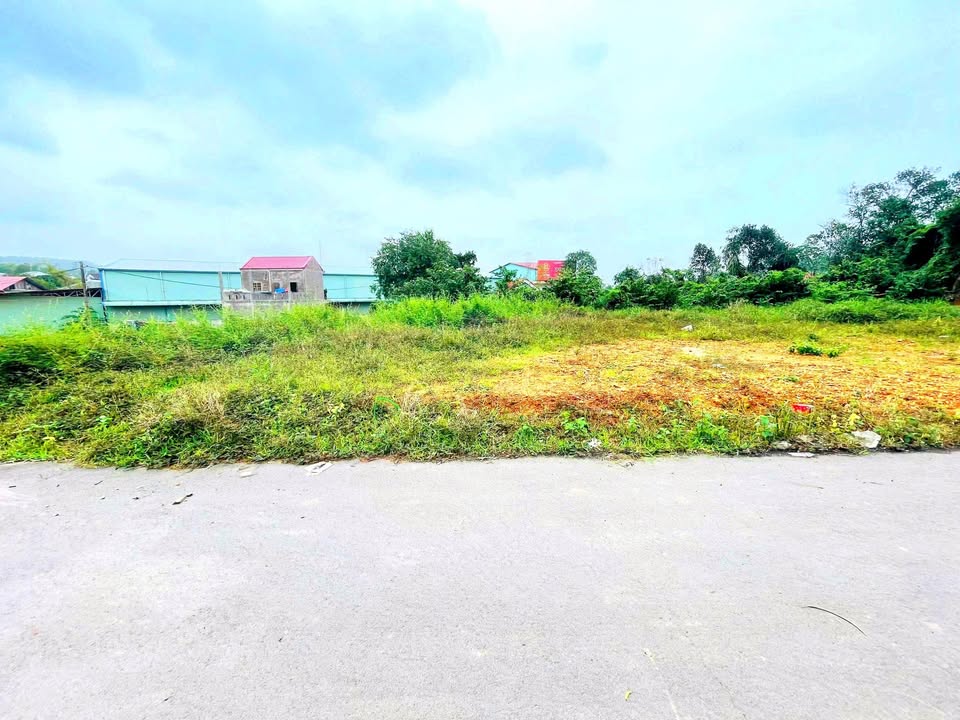 Đất kiệt ô tô Thủy Dương 80m² giá 1 tỷ - Đầu tư lý tưởng ngay trung tâm!