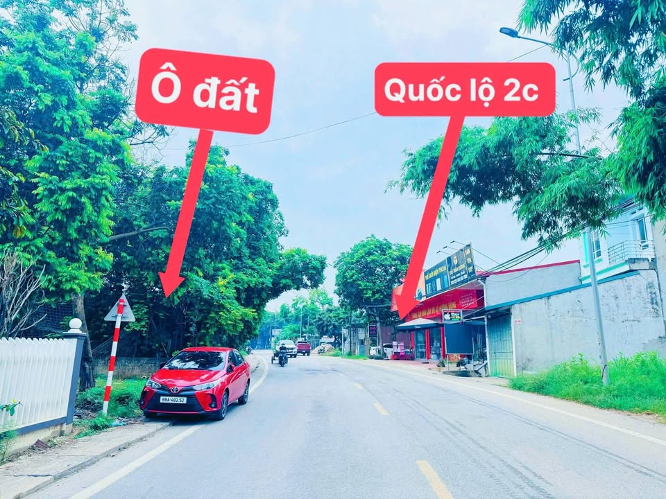 Đất thổ cư Thái Hoà Lập Thạch 113m² giá 2 tỷ - Kinh doanh sầm uất!