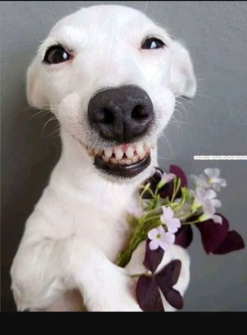 Nhà cho thuê Phường 9 Vĩnh Long 2 tầng, giá 6 triệu - Nhà mới tinh, tiện nghi đầy đủ!