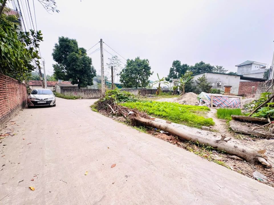 Đất nền lô góc 145m² tại Sơn Đồng, Kim Long, Tam Dương - Cơ hội đầu tư hiếm có!