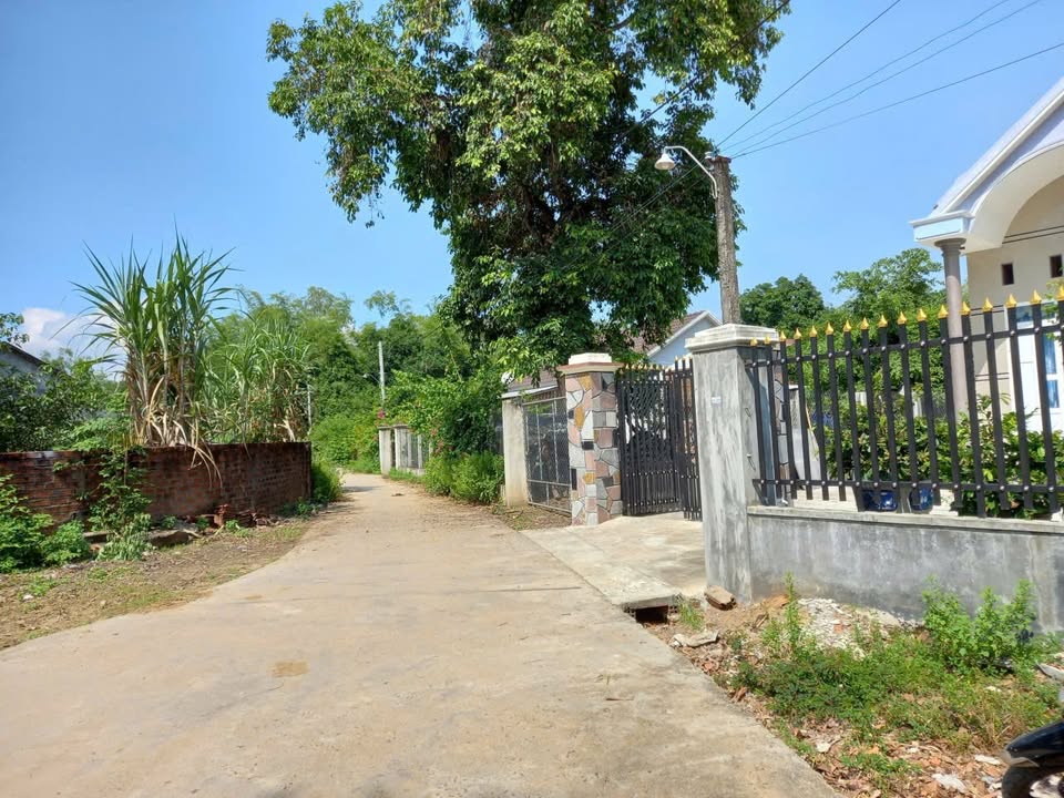 Đất thổ cư An Nhơn 290m² giá 600 triệu - Cơ hội đầu tư hấp dẫn!