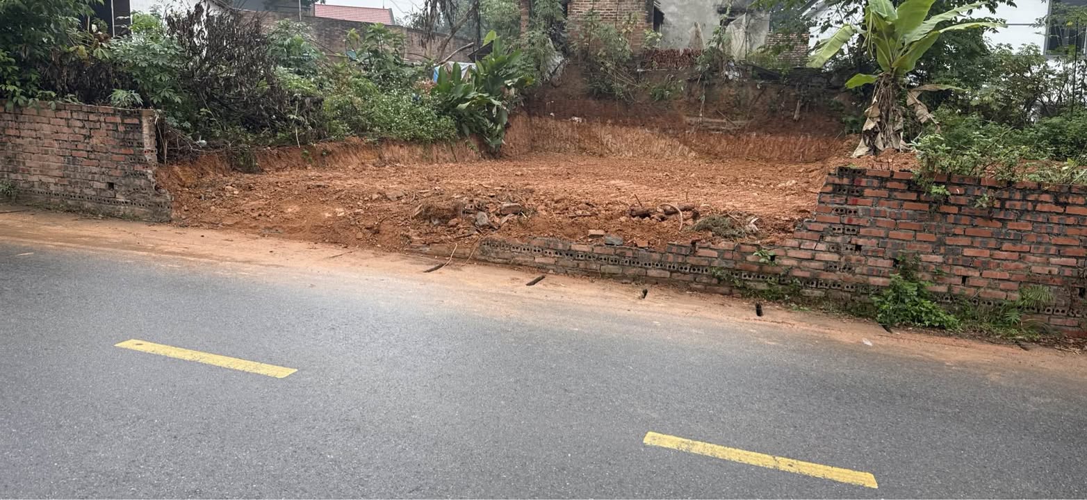 Đất thổ cư chính chủ Thanh Đình, Việt Trì 105m² giá chỉ 1.48 tỷ - Đường thông rộng, vị trí đông dân!